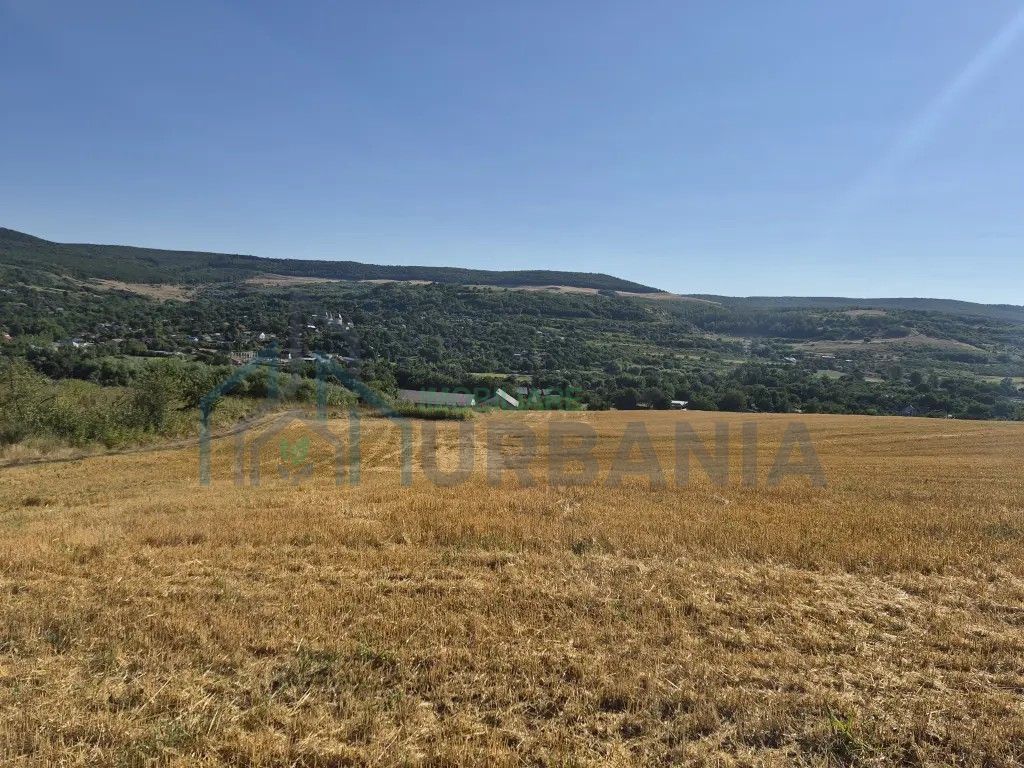 Teren intravilan de vanzare in Raducaneni - 15.000 EUR - Poză 2