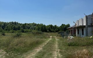 Teren intravilan 500 mp, Domnesti, str. Salciei - Poză 4