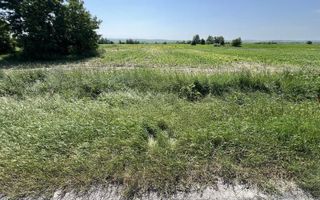 Teren de vânzare – 9.969 mp, Calea Romanului - Poză 5