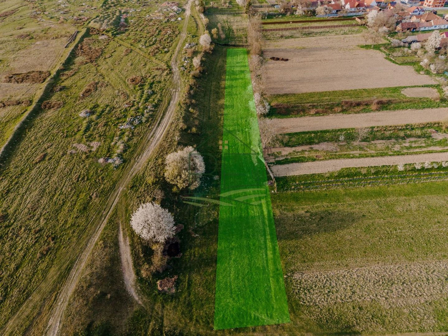 Teren extravilan 1662 mp – Cârțișoara | Vedere superbă Munții Făgăraș - Poză 3