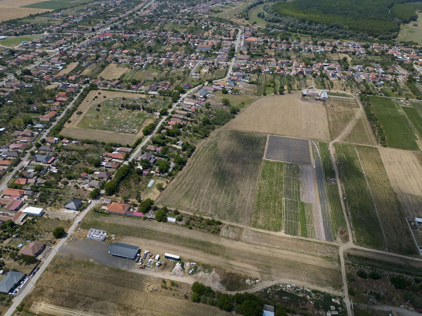 Teren 3000 mp in Loc Zadareni - Poză 6