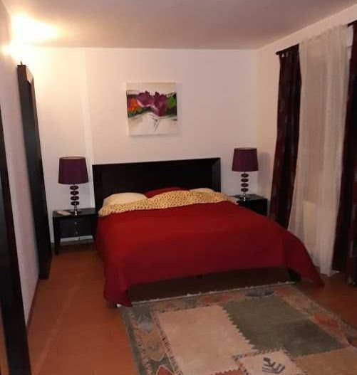 Vila de vanzare - zona Iancu Nicolae -  Serban Cantacuzino - Poză 5