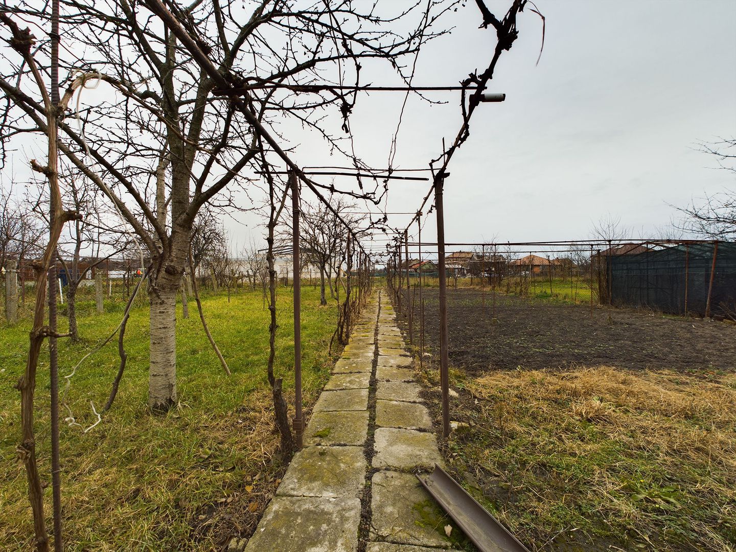 Casă frumoasă în Gai - Poză 7