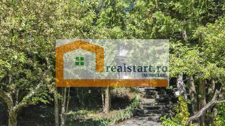 Oportunitate, Restaurant cu MiniPensiune 800mp, 1,8ha teren, Via Transilvanica - Poză 21