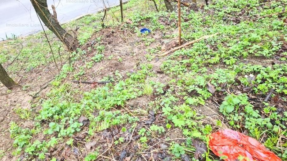 Teren intravilan1291 mp Schei Str Nisipului iesire la Drumul Poienii - Poză 2