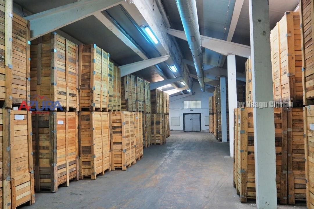 COMISION 0% - HALE Calinesti Arges - Poză 32