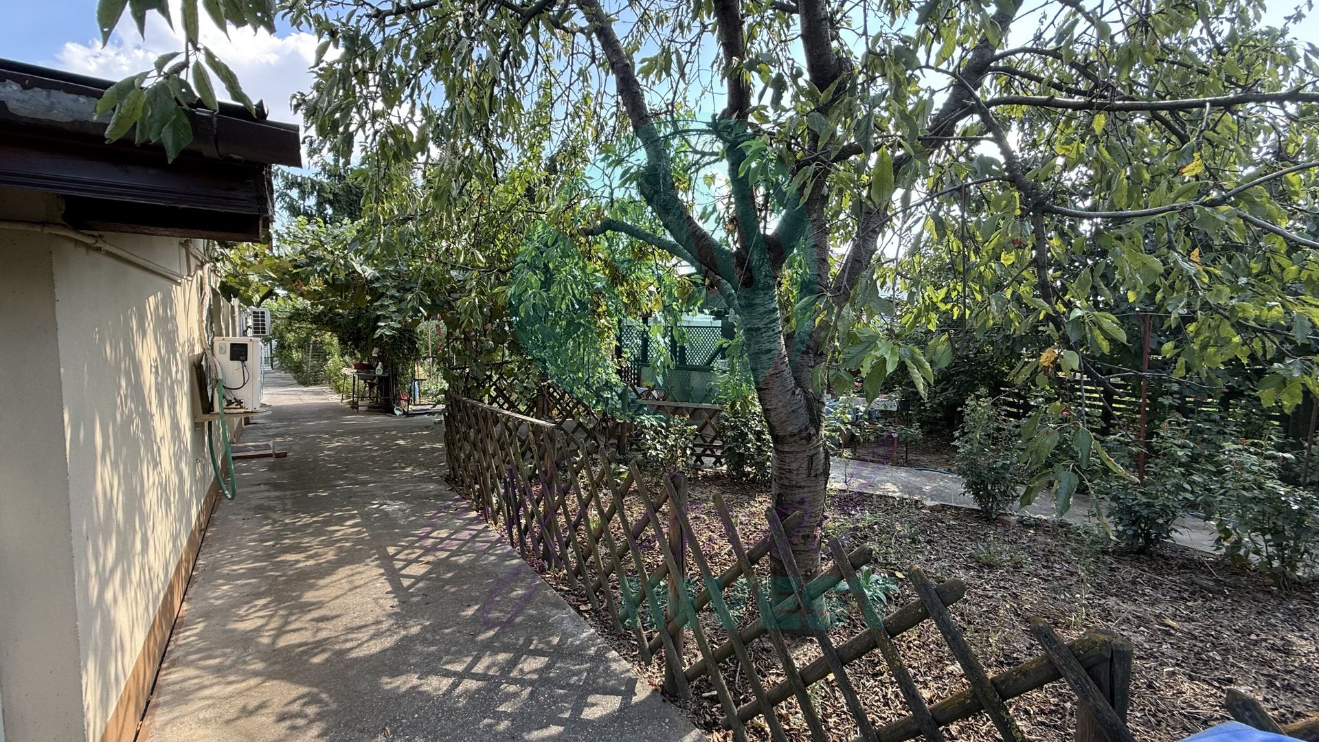 Casă parter + 1100 mp teren în Popești-Leordeni - Poză 11