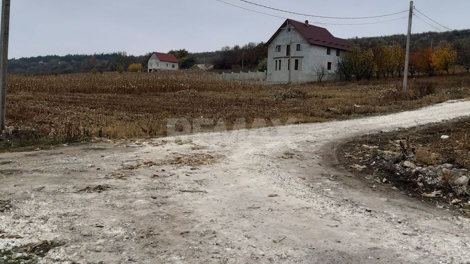 Teren pentru construcții – 7 ari, Zaicana - Poză 4