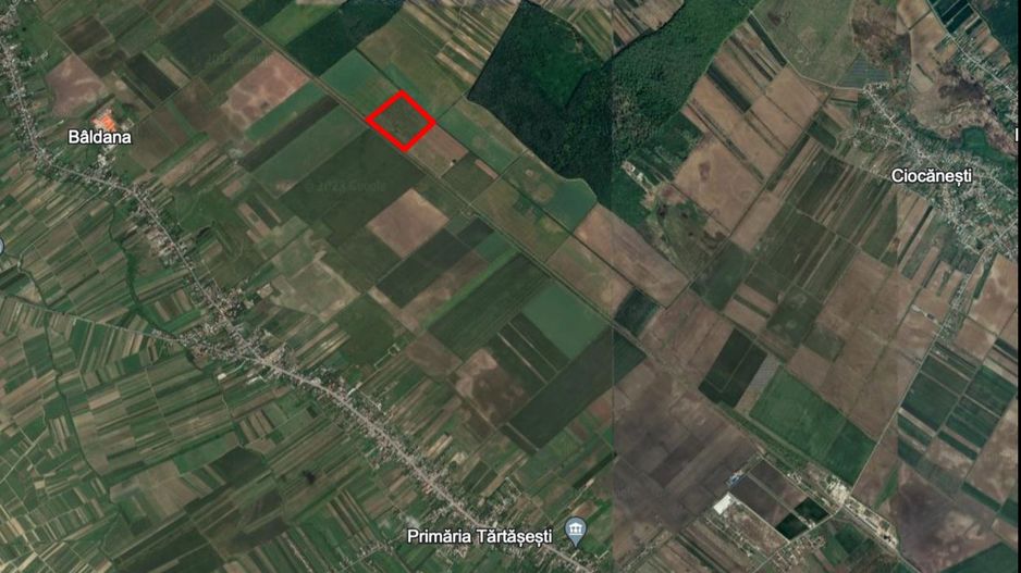 Teren agricol 13,5 hectare | Tartasesti | Ciocanesti | DB - Poză 1