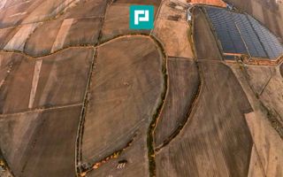 Teren arabil 68,800mp Zimandu Nou - Poză 9