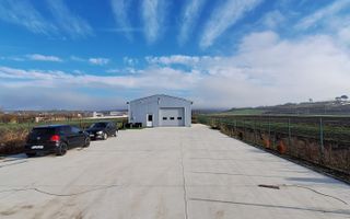 Hala de vanzare in Racarii de Jos - Poză 17