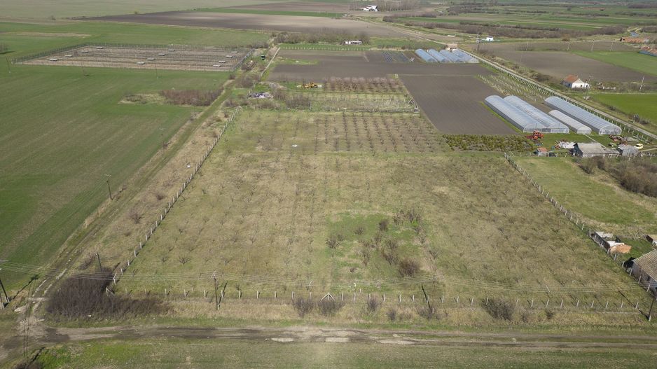 Teren intravilan de 1400 mp în Battonya - Poză 3