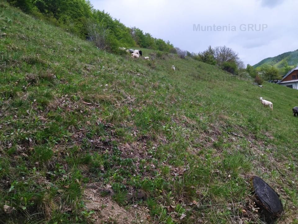 NAMAESTI - Valea Mare Pravat, 7000 mp. teren intravilan, ideal locuinta - Poză 8
