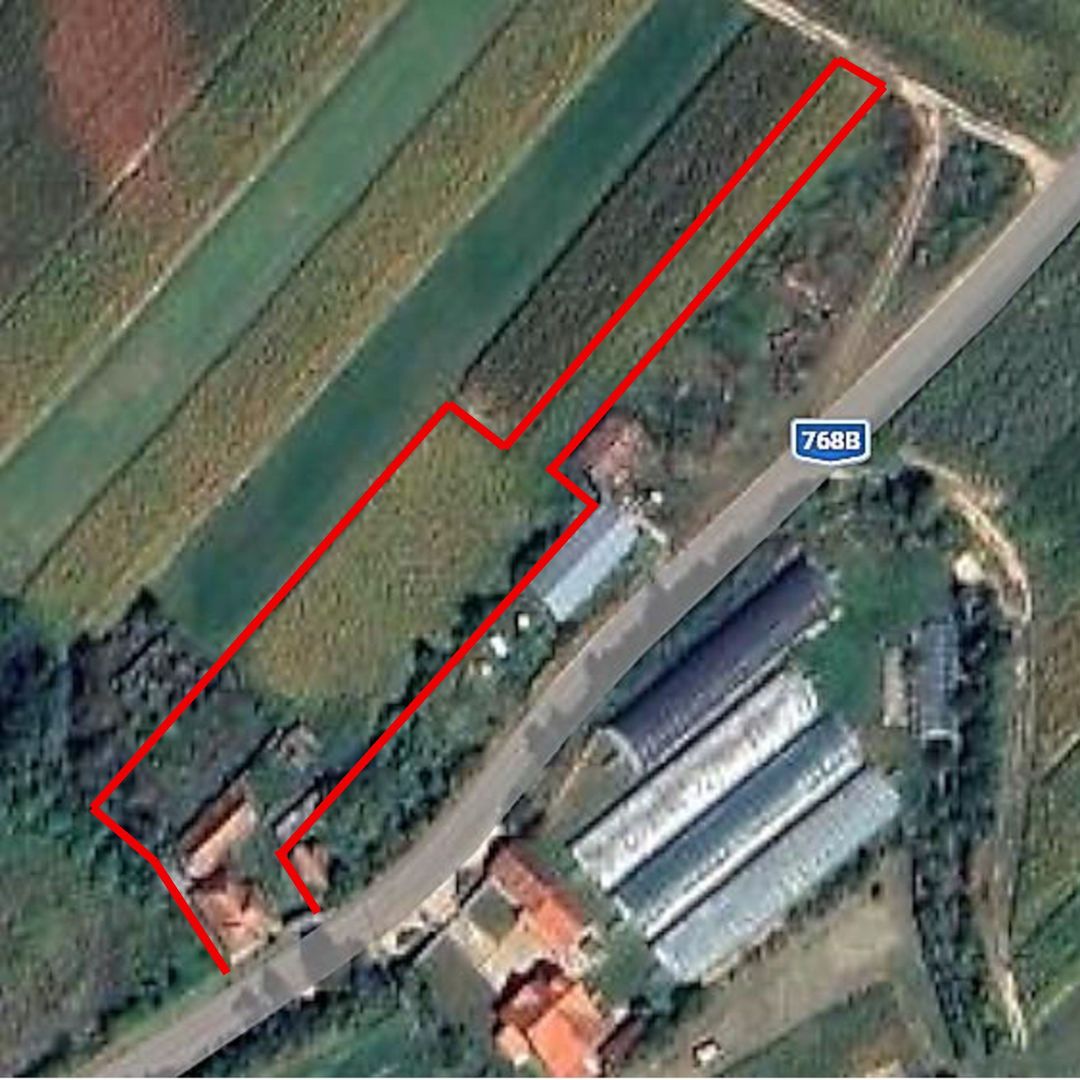 Casa la tara, gaz, acces auto, teren 4122 mp – Petid, Bihor – VANZARE - Poză 18