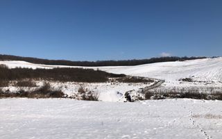 Teren 10000 si o parcela de 50 ari-oportunitate investitie-Jelna - Poză 1