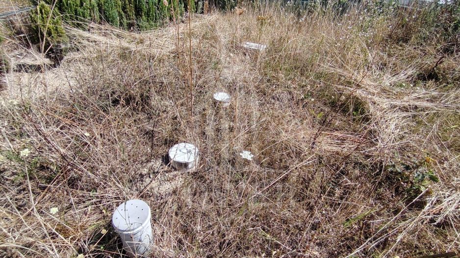 TEREN INTRAVILAN DE VÂNZARE – VALEA AVRIGULUI | 1.913 MP - Poză 12