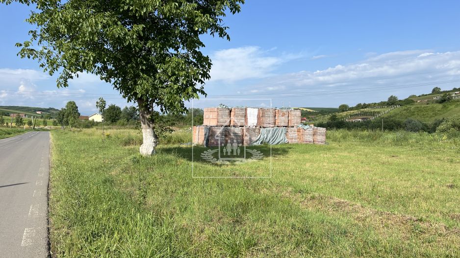 Teren de vanzare iesirea din Sura Mare spre Hamba/Casă single/duplex - Poză 1