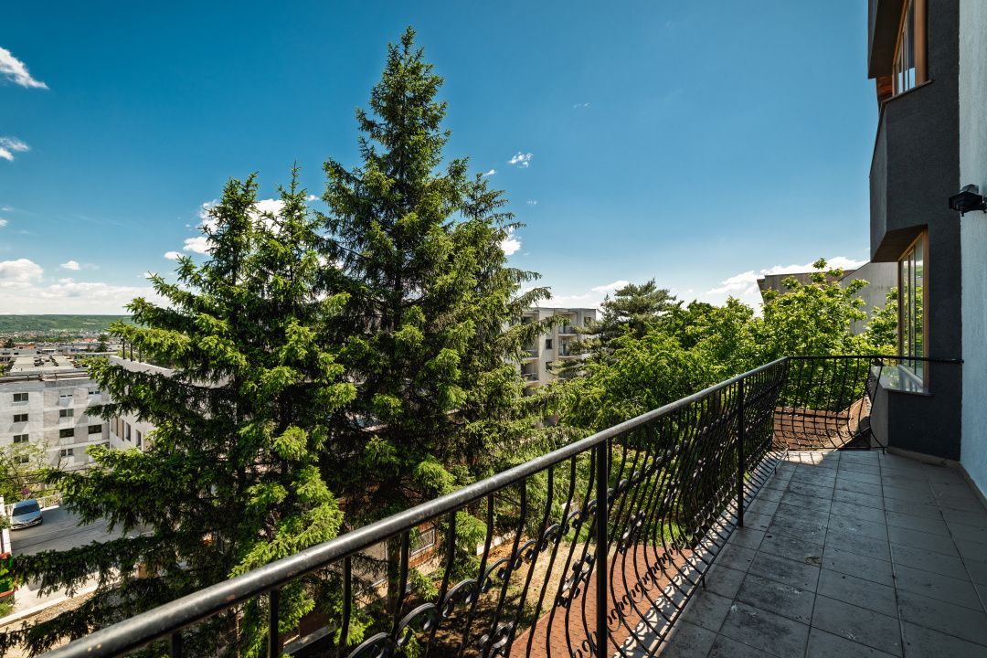Proprietate premium vis-a-vis de noul Stadion Nicolae Dobrin - Poză 30