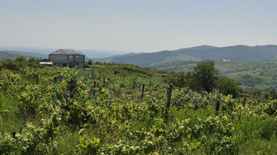 Teren intravilan de vânzare în Tomesti-Goruni – parcele de 700 mp și 3000 mp - Poză 3