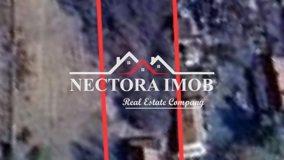 NECTORA IMOB-Casa 70 mp cu teren 951 mp, front 16 mp, Paleu Centru - Poză 2