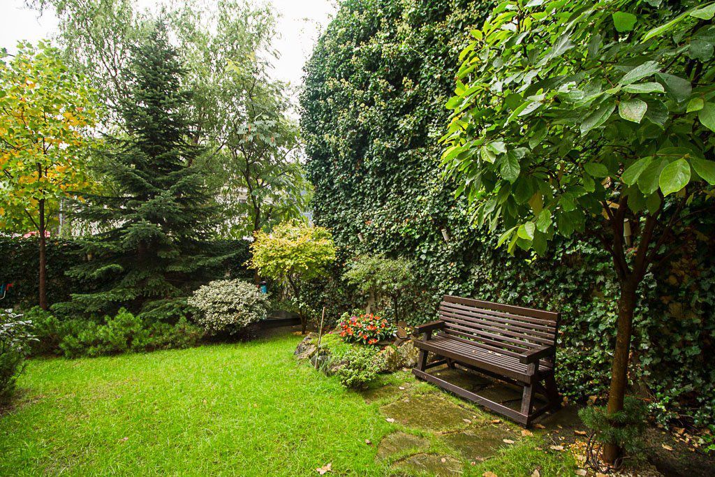 Vila deosebita Aviatiei - Poză 4