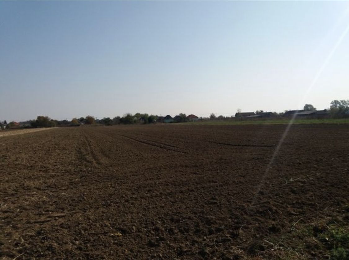 Investitie!Intravilan 55 ari capat Paulesti ( Intrare Ambud), 3.6 mf - Poză 3