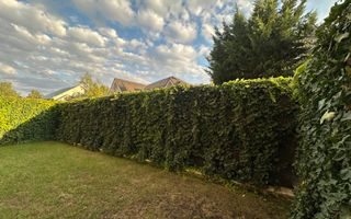 TRIANA 3 CAMERE | CURTE | PISCINA | GYM - Poză 23