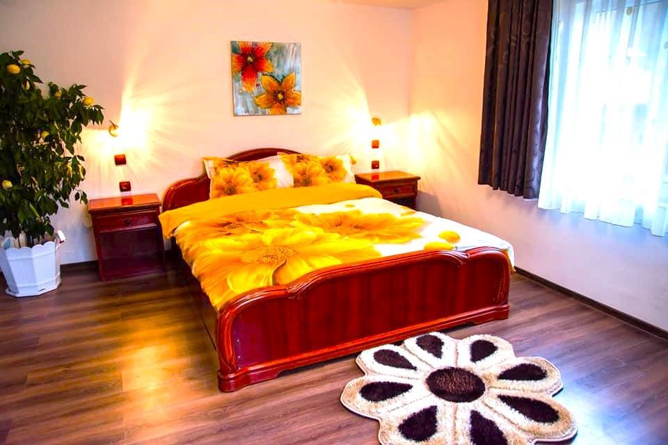 AFACERE DE VANZARE| Pensiunea SILVANKA din Valcele 3* | Langa BRASOV - Poză 16