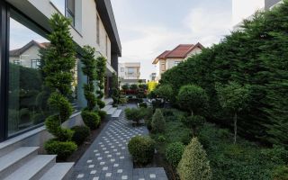 Chirie, casă, 400 mp, strada Ave Maria, Râșcani - Poză 3