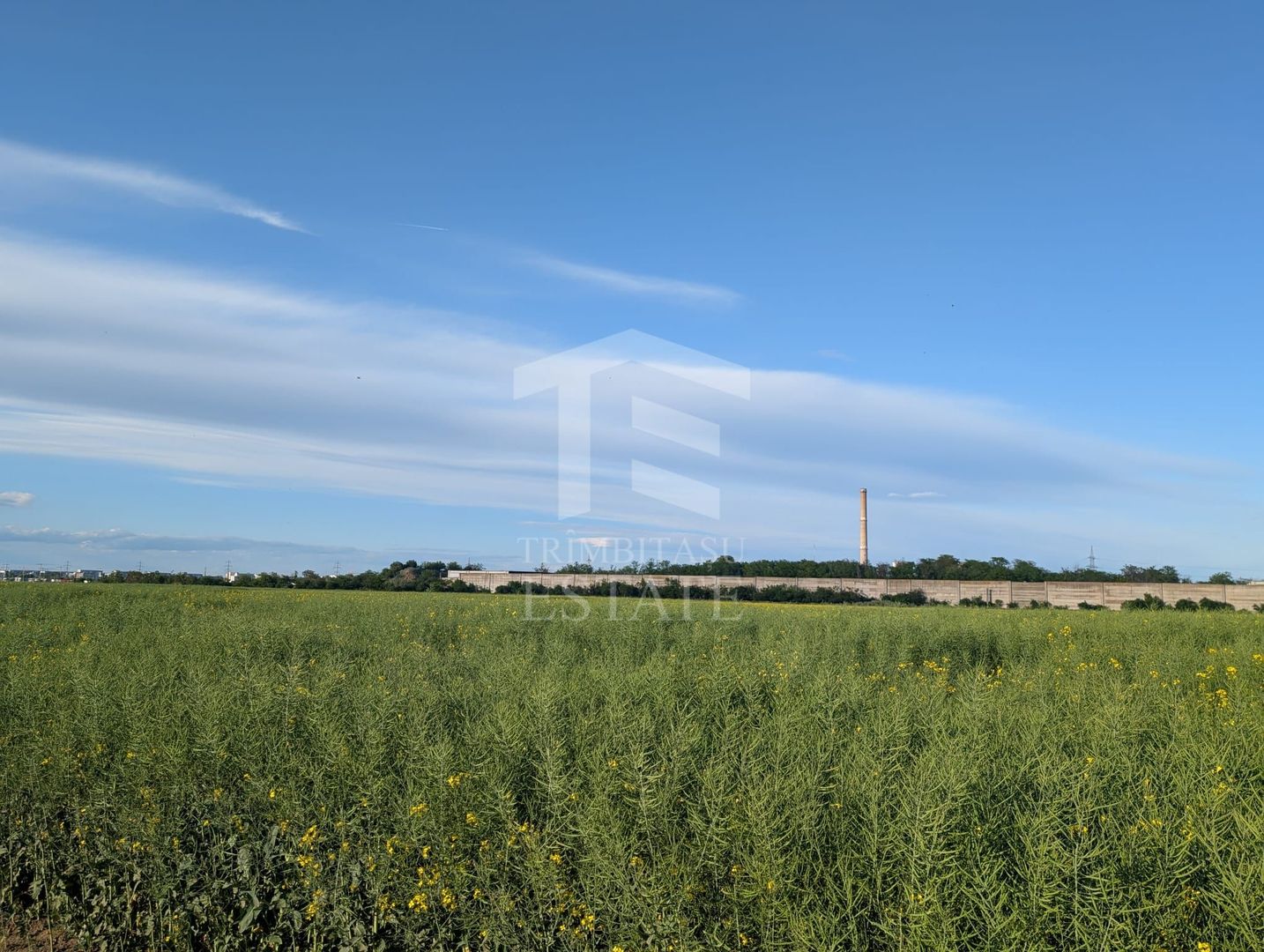 Teren de vanzare Domnești - Str. Narciselor - 20312mp - Poză 4