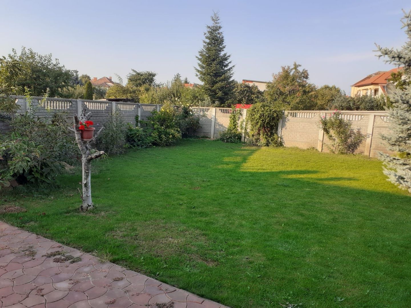 Ag EUROPA vinde casa individuala 6 cam. si teren 5 ari în Titulescu. - Poză 10