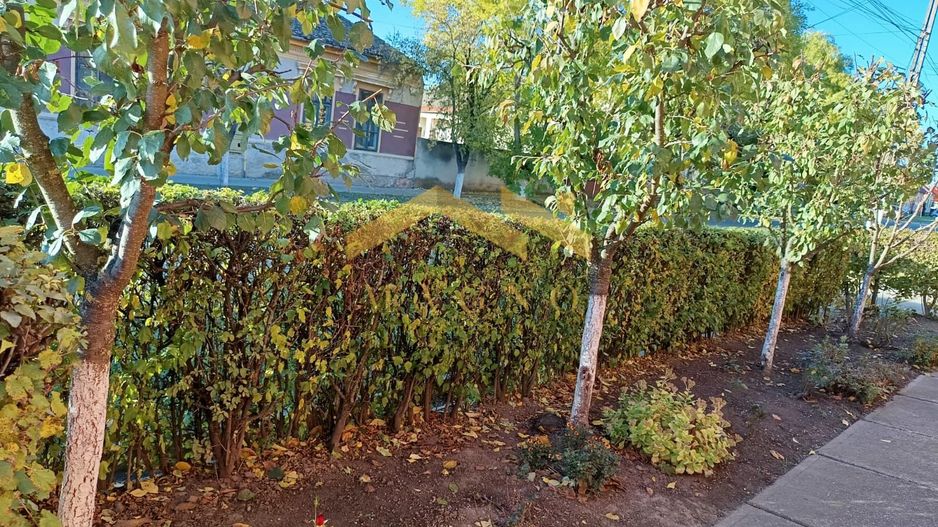 Casa de vanzare in Vladimirescu in zona primariei. - Poză 31