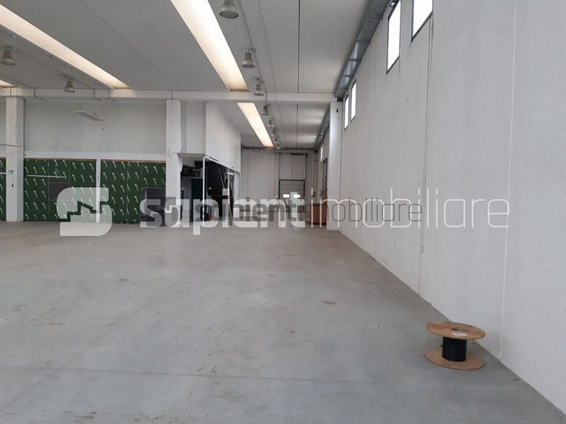 Sapient | Hala situata in com. Borș - Poză 4