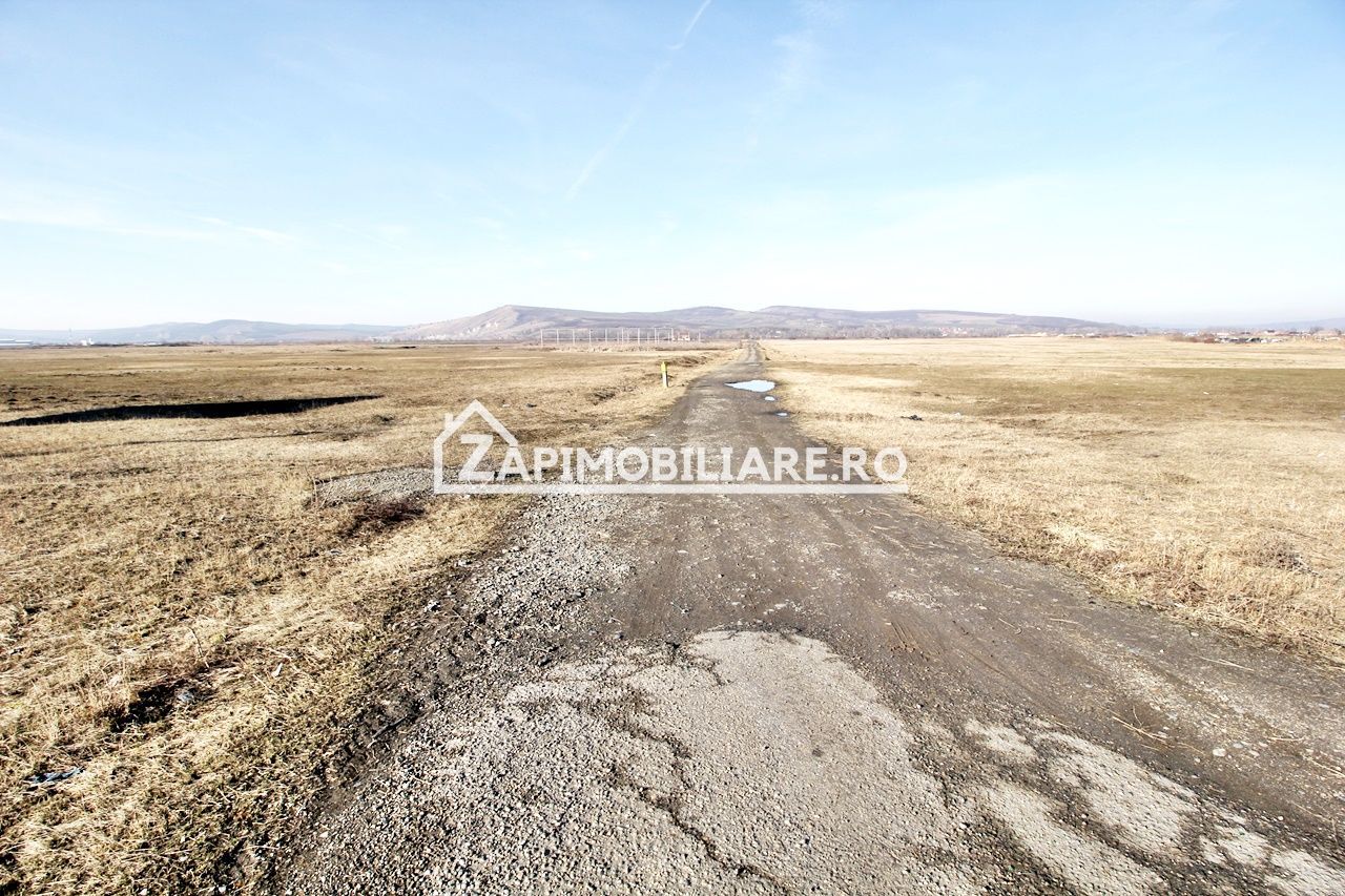 Teren intravilan 20.347 mp in Ungheni - Poză 3