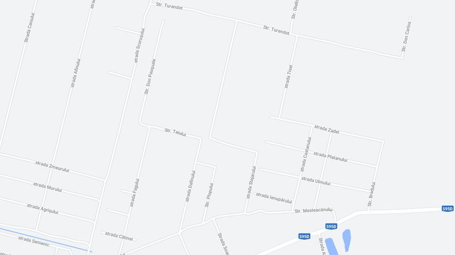 TEREN MOSNITA VECHE-pt investiție - Poză 2