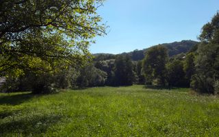 Teren Parau | Valea Danului, Curtea de Arges | Vidraru | - Poză 1