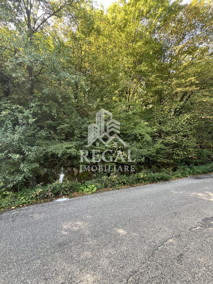 Teren extravilan de vânzare – Lacul Cinciș - Poză 6