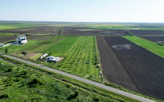 Livadă de nuci și pruni 2.4ha în Variașul Mare - Poză 3