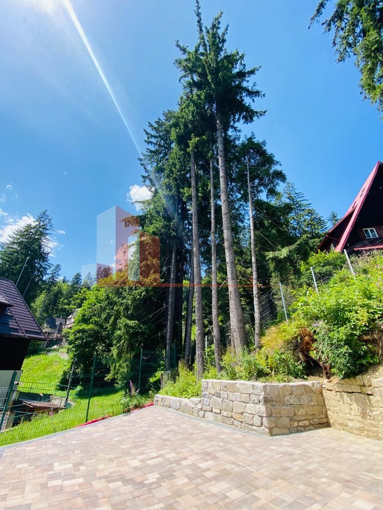 Vila Sinaia - Poză 40