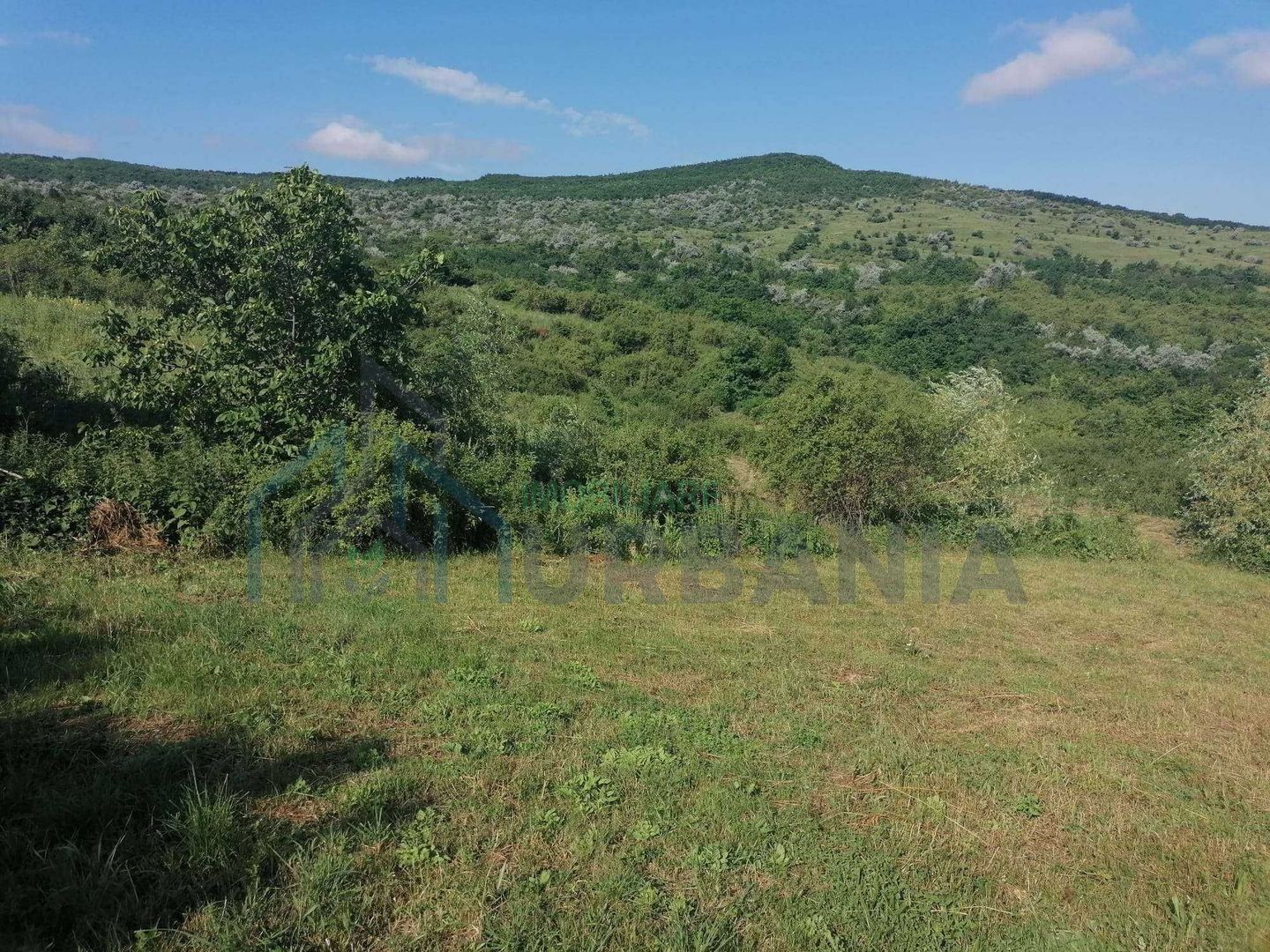 Teren de vânzare în Mogosesti, Budesti - Intabulat - Poză 3