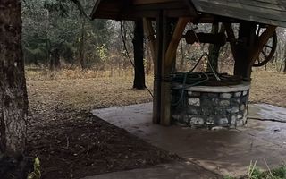 Pet Friendly, Vedere Padure, 5000mp teren, D+P+1E+M, semineu, foisor - Poză 48