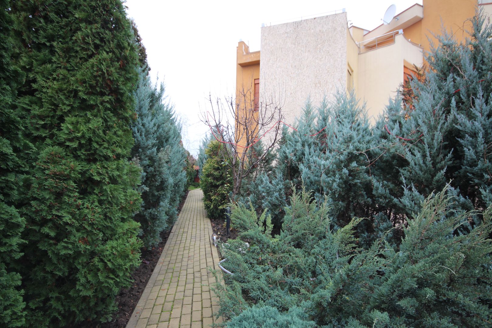 Casa pretabila birouri, camin de batrani - Poză 136