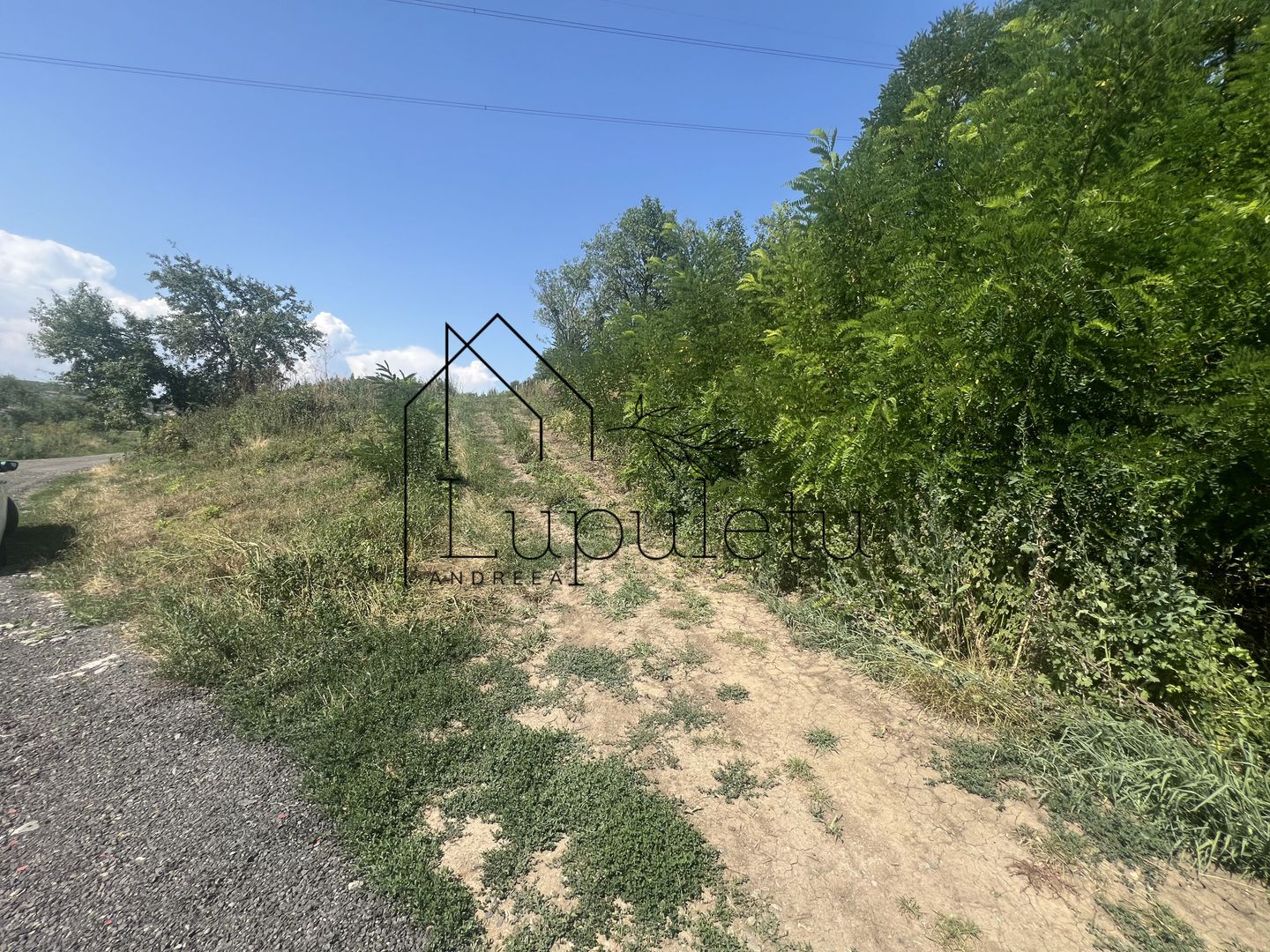 Teren Intravilan |5.000 MPU | Șura-Mare | - Poză 9