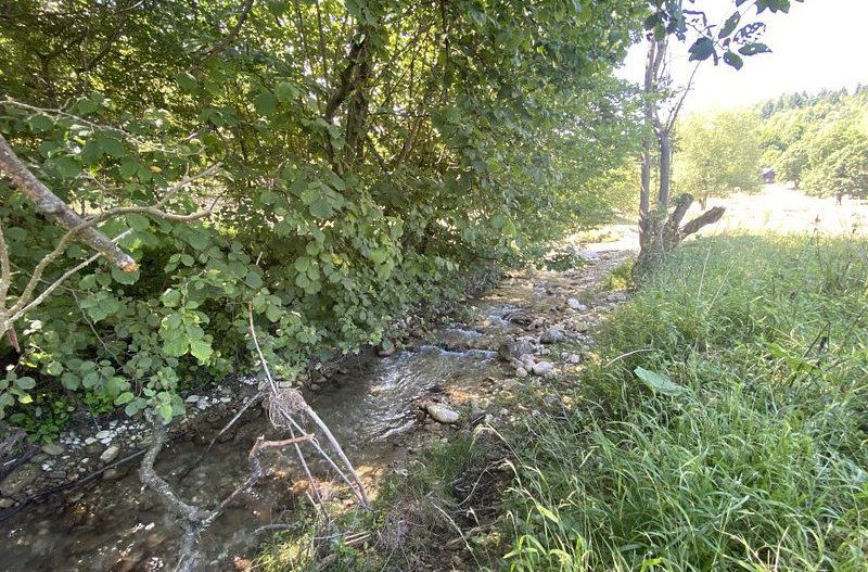 Teren extravilan de vânzare în Râșnov | 6.070 mp | Vedere panoramică - Poză 11