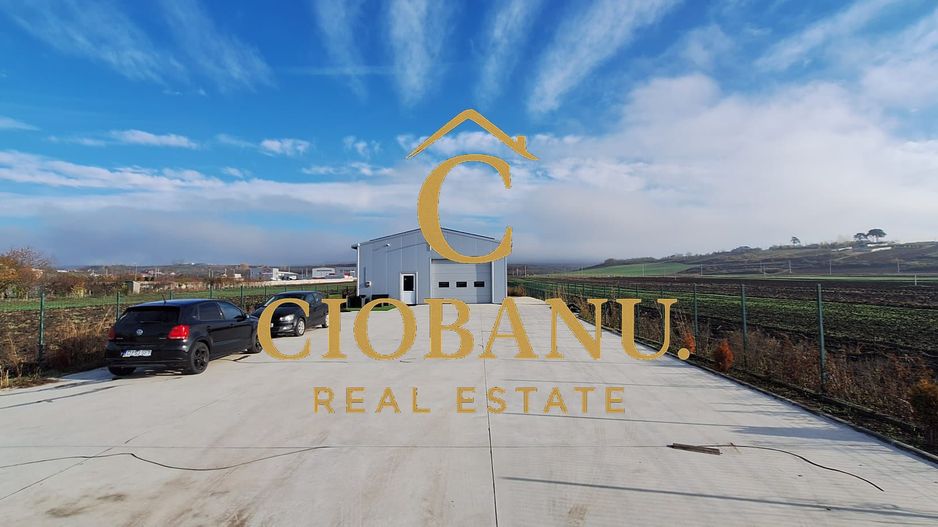 Hala de vanzare in Racarii de Jos - Poză 17