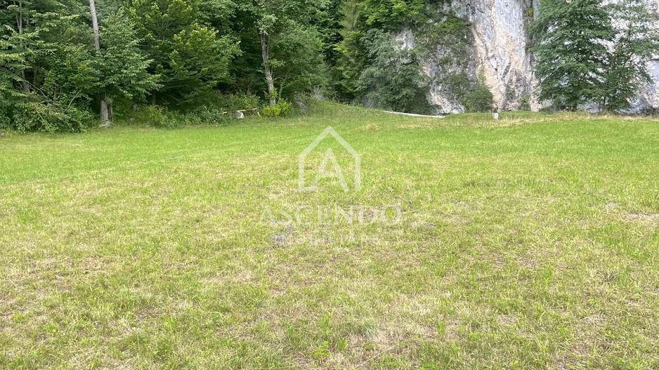 Teren pentru investiție turistică în Dâmbovicioara – Baranga | 4.500 mp | Front ~102 ml - Poză 12