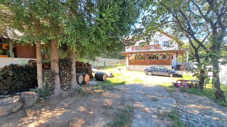 De inchiriat Casa moderna 160 mp teren 1000 mp Tocile Sadu - Poză 20