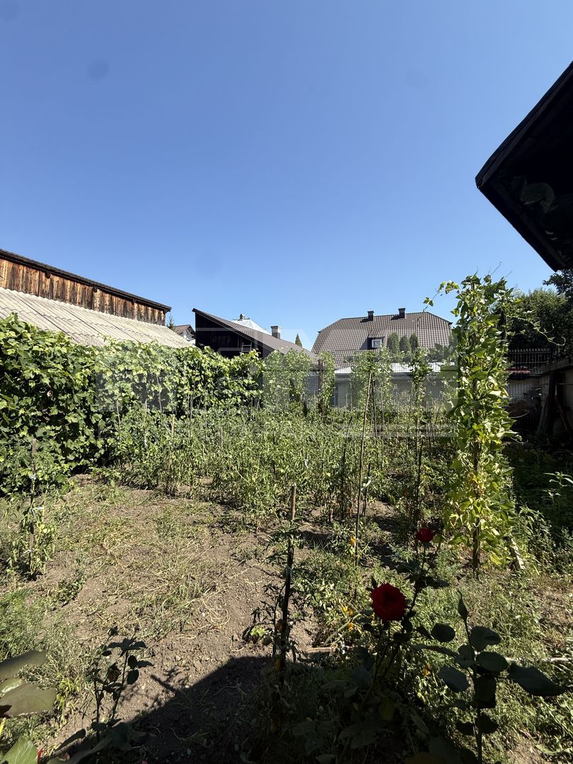 Casa stil austriac | Bogdan Voda | 520 MP teren | 115000 Euro - Poză 12