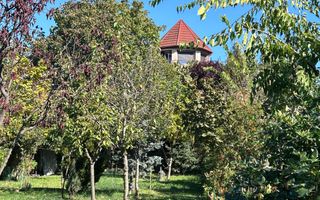 Casă individuală Buftea, 3.162 mp teren, ieșire spre lac - Poză 53