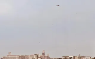 Garsonieră Piața Victoriei | Terasă 10 mp | Comision 0% - Poză 16